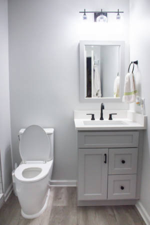 Franklin Tennessee Bathroom Remodel vanity sink mirrors